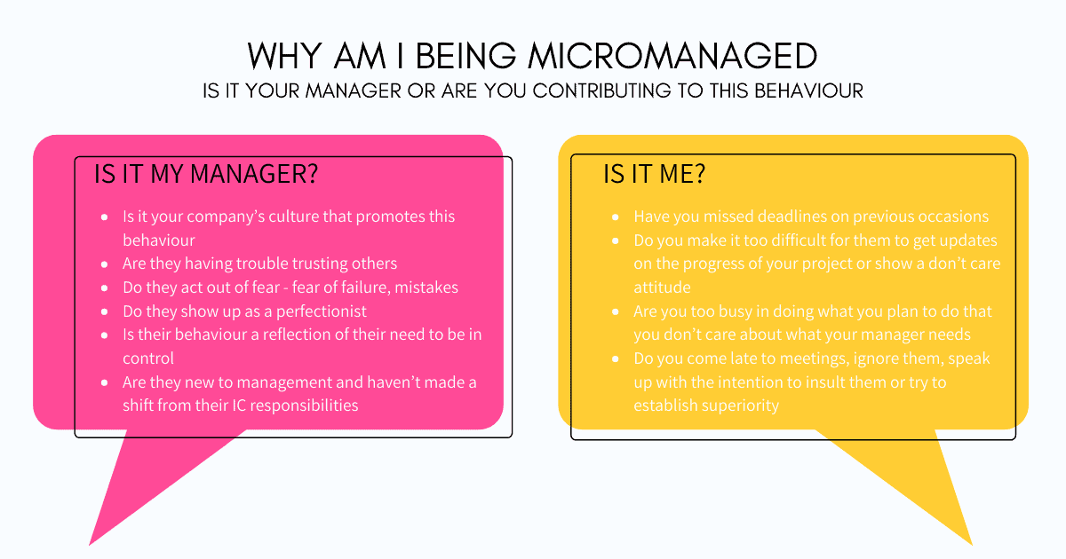 micromanagement and macro management
